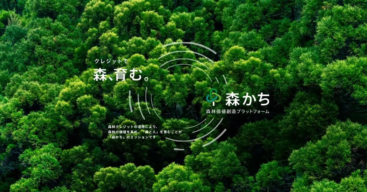 始動から2年、森林由来J-クレジットの流通を変える「森かち」