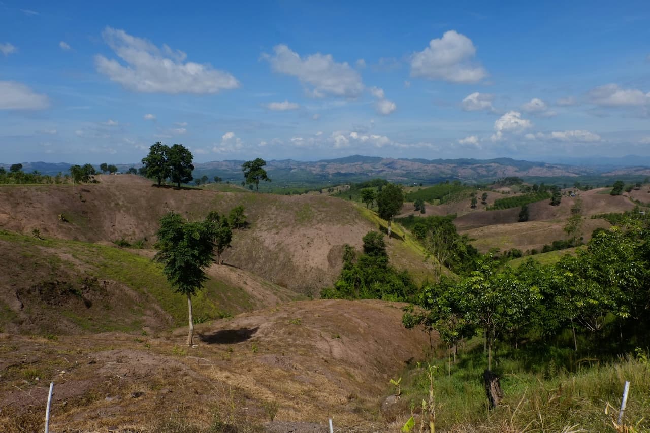 世界の土地回復は2030年目標の10%にとどまる IUCN報告書